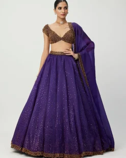Royalty Purple Sequins Scattered Lehenga Set