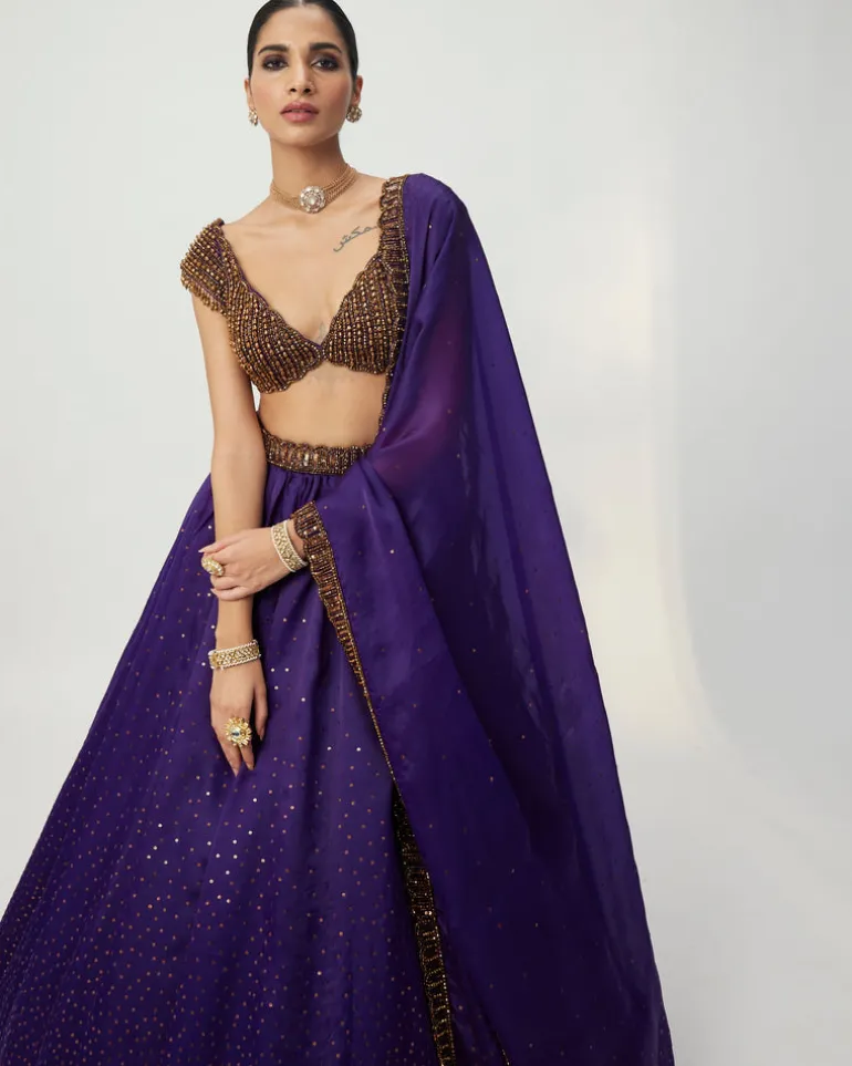 Royalty Purple Sequins Scattered Lehenga Set