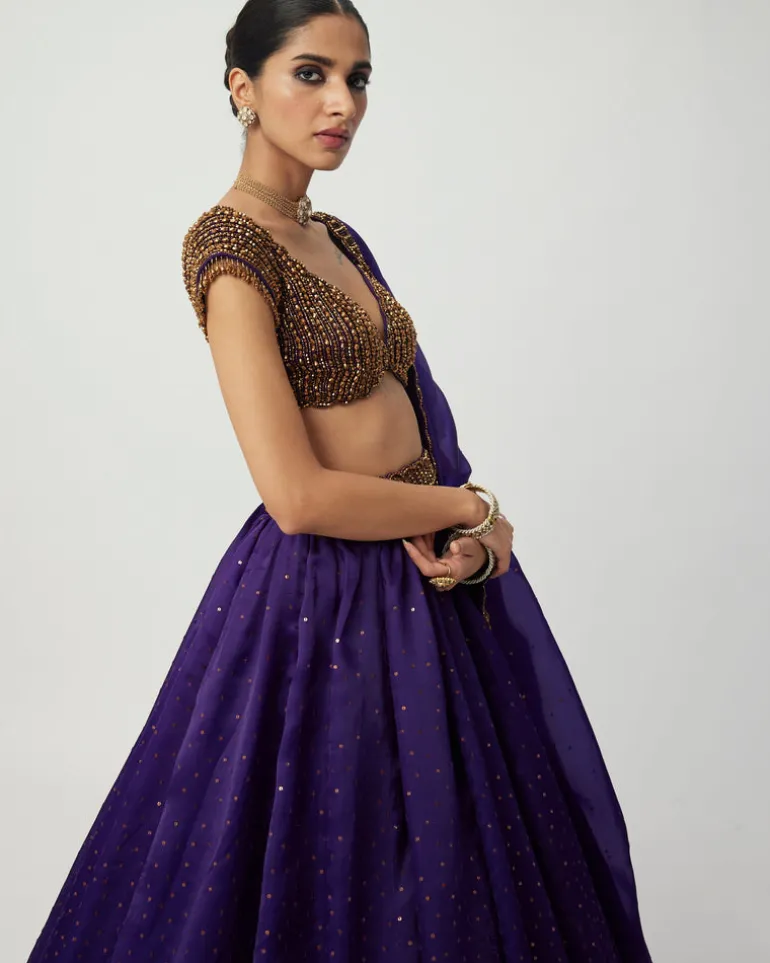 Royalty Purple Sequins Scattered Lehenga Set