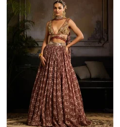 Ruby Embers Lehenga Set