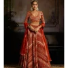 Rust Abstract Jaal Lehenga Set