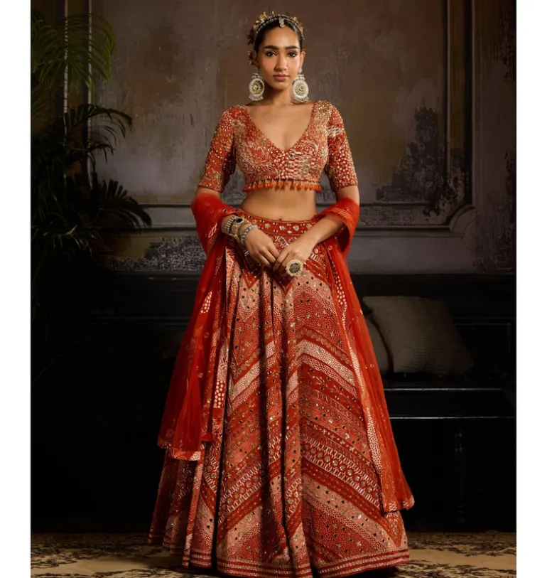 Rust Abstract Jaal Lehenga Set