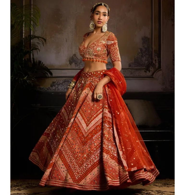 Rust Abstract Jaal Lehenga Set