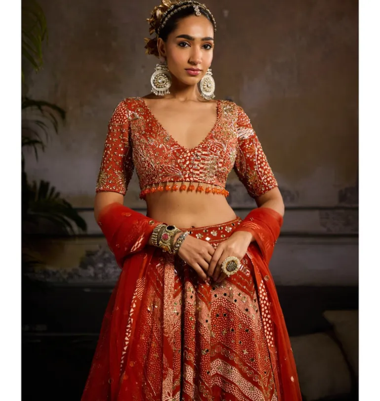 Rust Abstract Jaal Lehenga Set