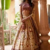 Rust Embroidered Paneled Lehenga Set