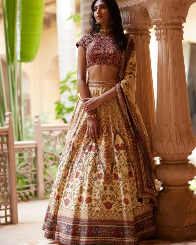 Rust Embroidered Paneled Lehenga Set