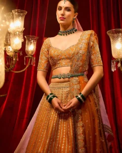 Rust Shehnai Lehenga Set