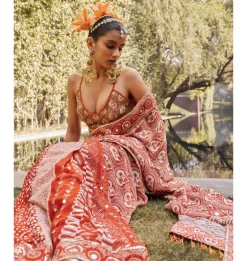 Rustic Radiance Pre-Stitched Sari Set