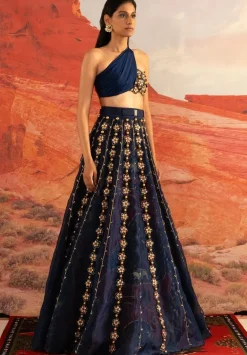 Sapphire Peri Golden Skein with One-shoulder Bustier Lehenga Set