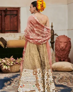 Savrna Aayna Sharara Set