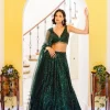 Serai Lehenga Set