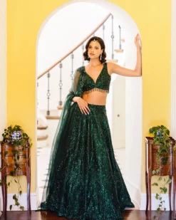 Serai Lehenga Set