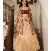 Shaahee Bandhani Skirt Cape Set