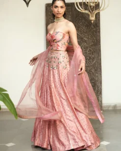 Shanaya Bustier Lehenga Set