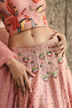 Shanaya Bustier Lehenga Set