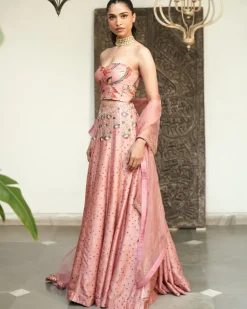 Shanaya Bustier Lehenga Set