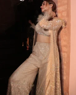 Shimmer Gray Jacket Sharara Set