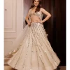 Shravani Lehenga Set