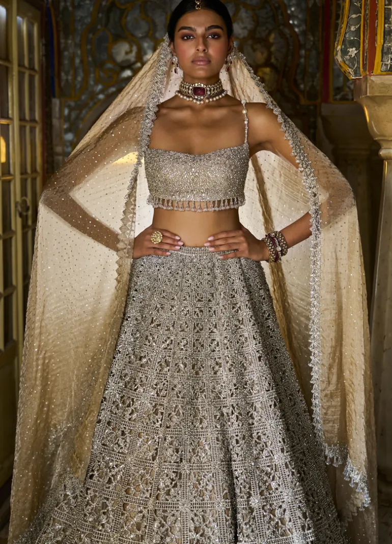 Silver Geometric Cut work Lehenga