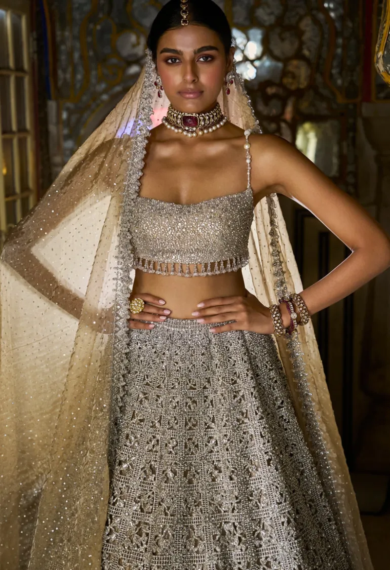 Silver Geometric Cut work Lehenga