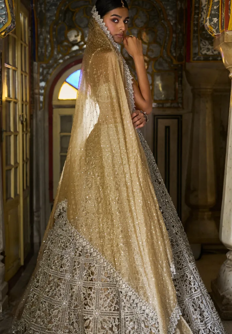 Silver Geometric Cut work Lehenga