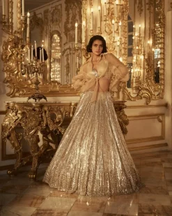 Silver Gold Crystal Lehenga Set