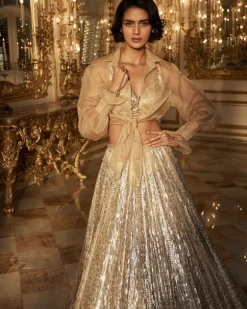 Silver Gold Crystal Lehenga Set