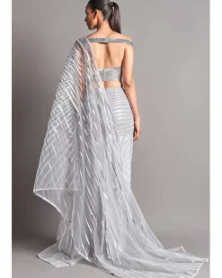 Silver Metallic Winged Sari