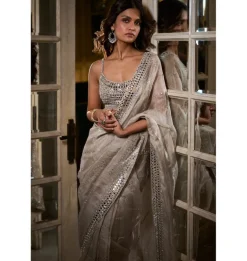 Silver Organza Tissue Sari