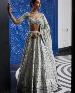 Silver Shimmer Organza Lehenga Set