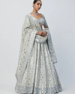 Silver Shimmer Organza Lehenga Set