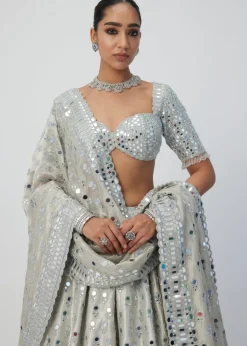 Silver Shimmer Organza Lehenga Set