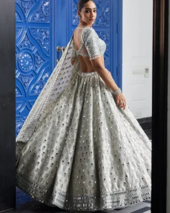 Silver Shimmer Organza Lehenga Set