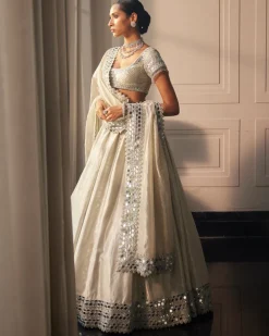 Silver Shimmer Organza Linear Lehenga Set
