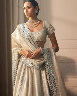 Silver Shimmer Organza Linear Lehenga Set