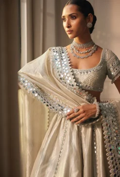 Silver Shimmer Organza Linear Lehenga Set