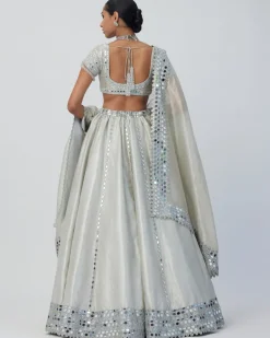 Silver Shimmer Organza Linear Lehenga Set