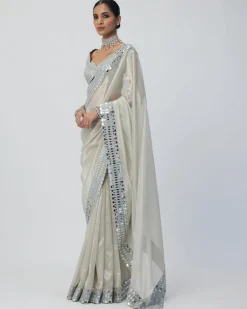 Silver Shimmer Organza Sari Set