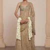 Skin & Beige Gold Hip Hug Sari Set