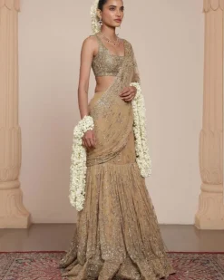 Skin & Beige Gold Hip Hug Sari Set