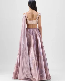 Skin Glazed Organza Skirt Set