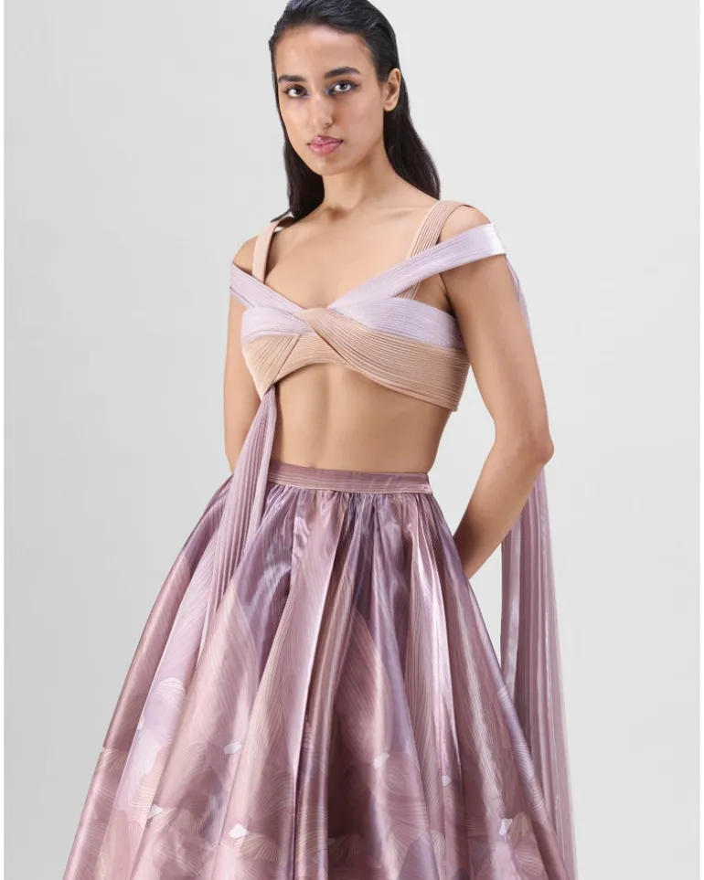 Skin Glazed Organza Skirt Set