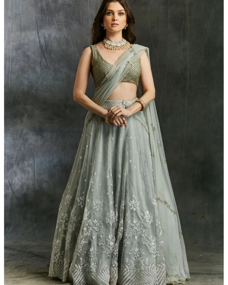 Sky Blue Organza Lehenga With White Thread work