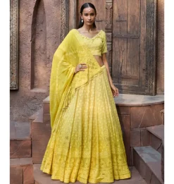 Soleil Chikankari Lehenga Set