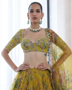 Spring Dwell Lehenga Set