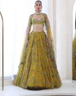Spring Dwell Lehenga Set