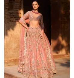 Sun Kissed Coral Organza Lehenga Set
