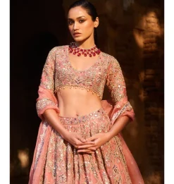 Sun Kissed Coral Organza Lehenga Set