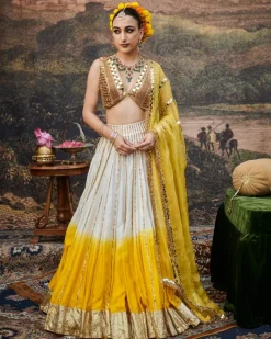 Surabhi Lehenga Set
