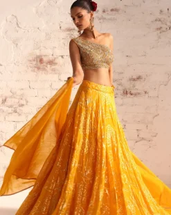 Suri Lehenga Set